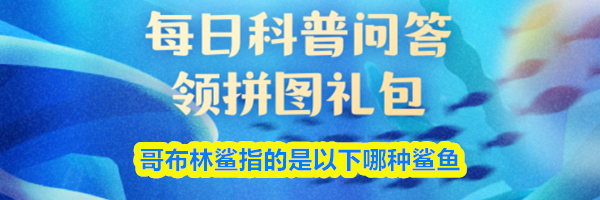 哥布林鲨指的是以下哪种鲨鱼