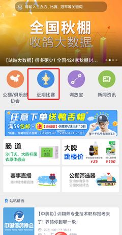 《咕咕信鸽》查询成绩方法