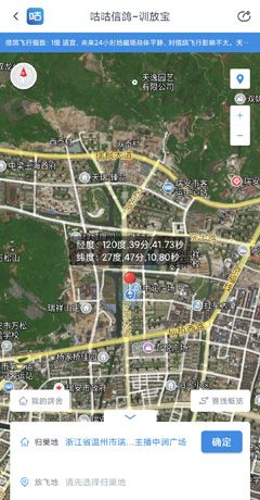 《咕咕信鸽》训放教程