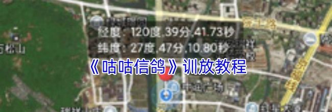 《咕咕信鸽》训放教程