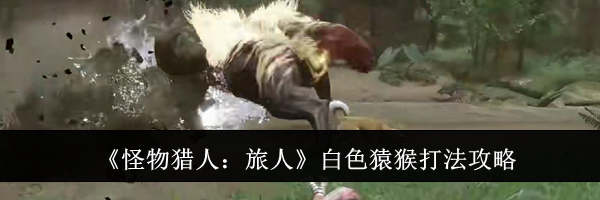 《怪物猎人:旅人》白色猿猴打法攻略