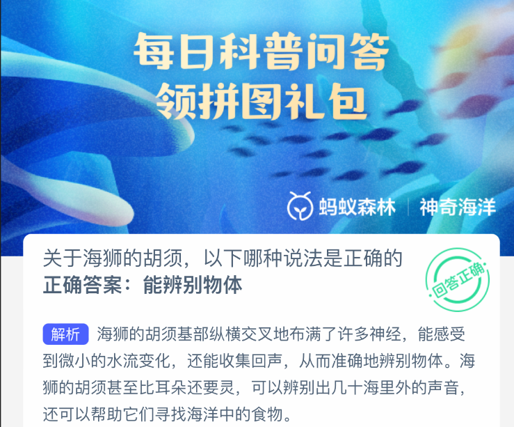 关于海狮的胡须，以下哪种说法是正确的