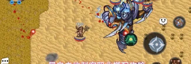 黑白之地刺客职业搭配攻略