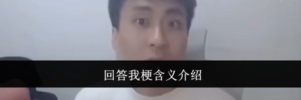 回答我梗含义介绍
