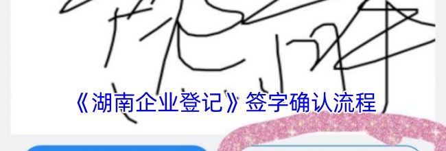 《湖南企业登记》签字确认流程