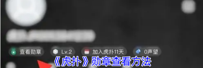 《虎扑》勋章查看方法