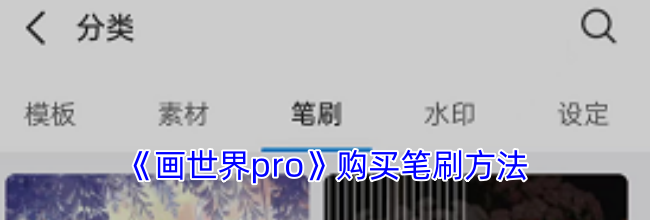 《画世界pro》购买笔刷方法