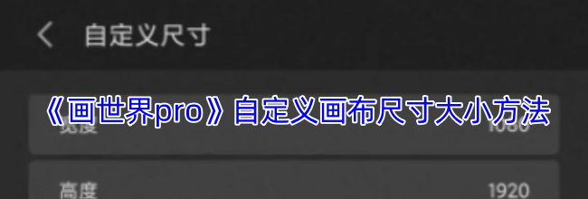 《画世界pro》自定义画布尺寸大小方法