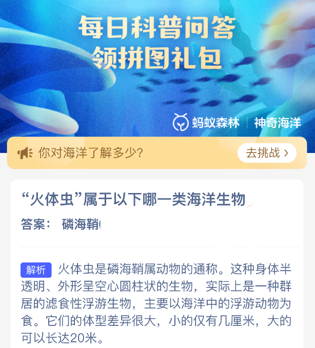 火体虫属于以下哪一类海洋生物