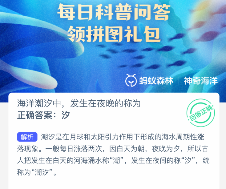 海洋潮汐中，发生在夜晚的现象叫什么