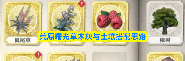 荒原曙光草木灰与土壤搭配思路