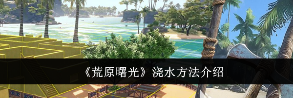 《荒原曙光》浇水方法介绍