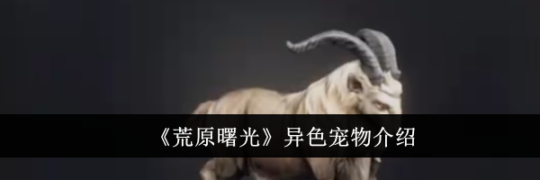 《荒原曙光》异色宠物介绍