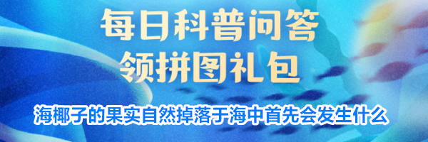 海椰子的果实自然掉落于海中首先会发生什么