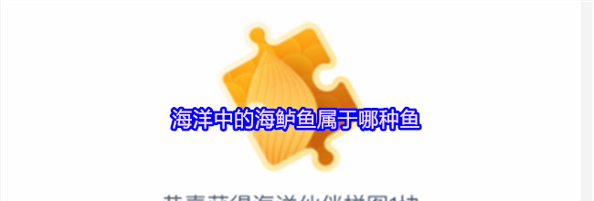 海洋中的海鲈鱼属于哪种鱼