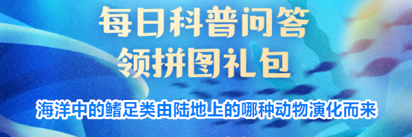 海洋中的鳍足类由陆地上的哪种动物演化而来