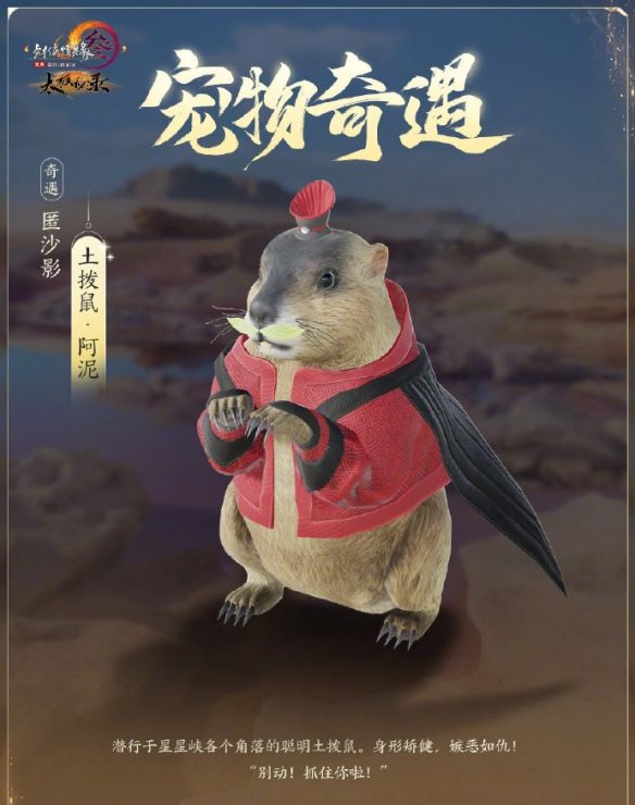 《剑网3》太极秘录新增宠物奇遇一览