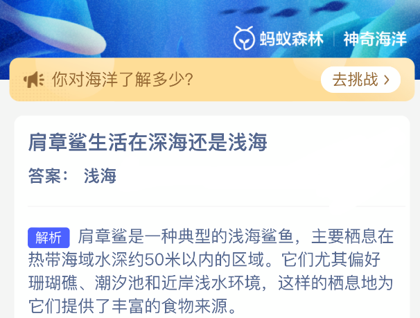 肩章鲨生活在深海还是浅海