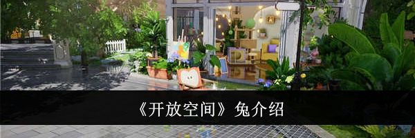 《开放空间》兔介绍