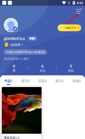 《鲲天下》认证创作者方法