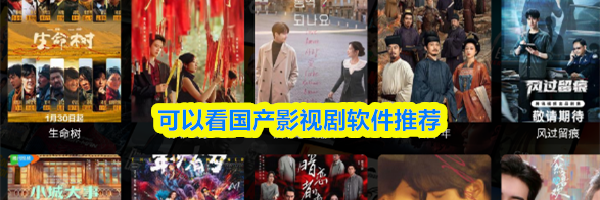 可以看国产影视剧软件推荐