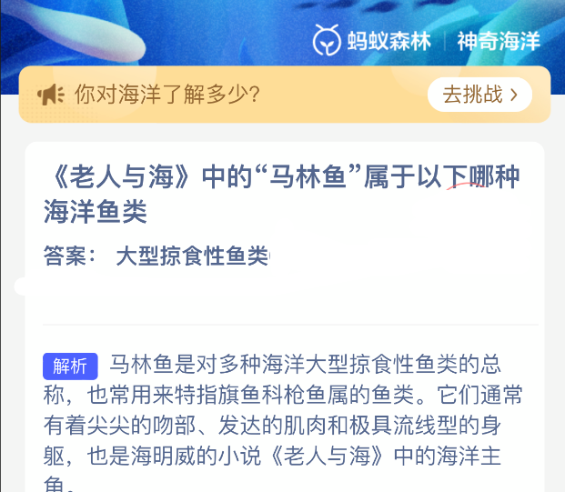 老人与海中的马林鱼属于以下哪种海洋鱼类