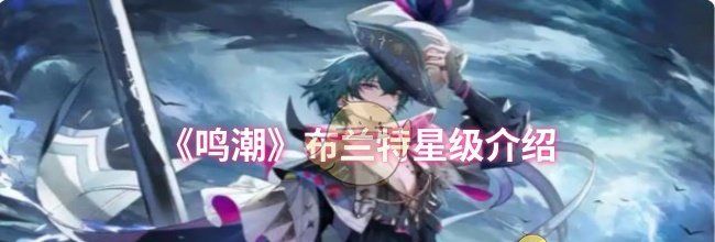 《鸣潮》布兰特星级介绍