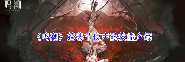 《鸣潮》慈悲节使声骸技能介绍