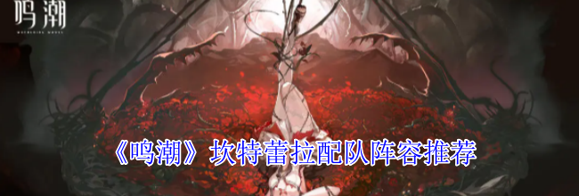 《鸣潮》坎特蕾拉配队阵容推荐