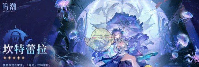 《鸣潮》坎特蕾拉全方位培养指南