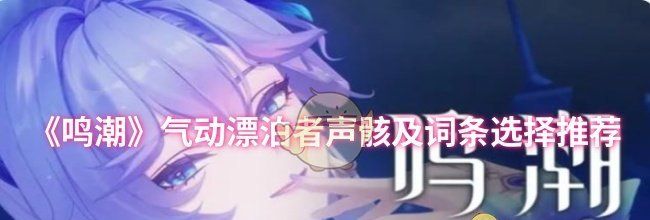 《鸣潮》气动漂泊者声骸及词条选择推荐