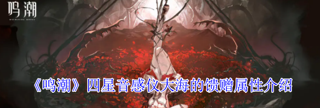 《鸣潮》四星音感仪大海的馈赠属性介绍