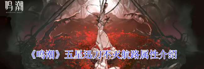 《鸣潮》五星迅刀不灭航路属性介绍