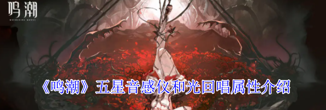 《鸣潮》五星音感仪和光回唱属性介绍