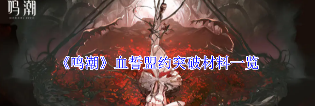 《鸣潮》血誓盟约突破材料一览