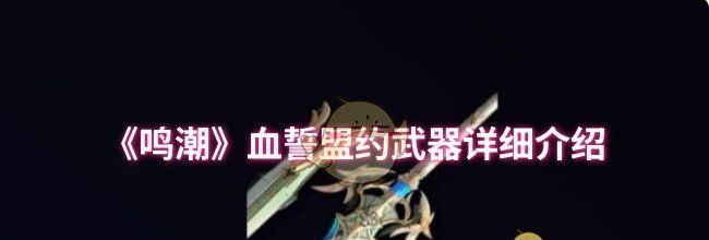 《鸣潮》血誓盟约武器详细介绍