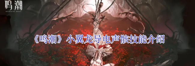 《鸣潮》小翼龙导电声骸技能介绍