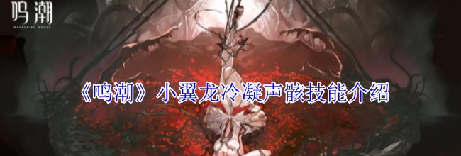 《鸣潮》小翼龙冷凝声骸技能介绍