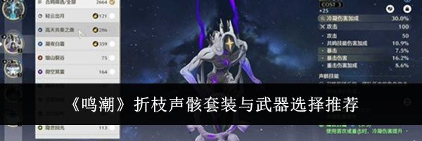 《鸣潮》折枝声骸套装与武器选择推荐