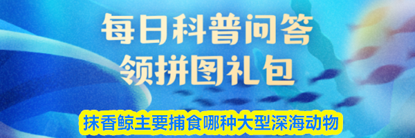 抹香鲸主要捕食哪种大型深海动物