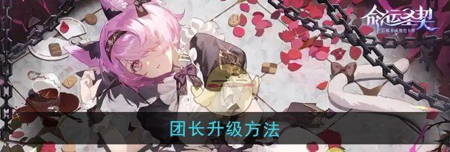 《命运圣契》团长升级方法
