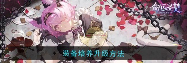 《命运圣契》装备培养升级方法