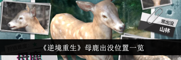《逆境重生》母鹿出没位置一览