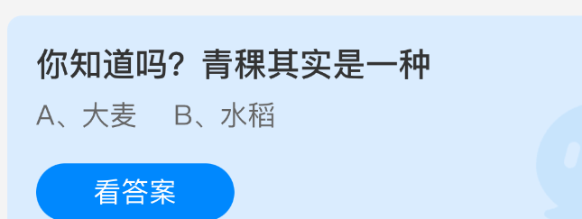 你知道吗？青稞其实是一种