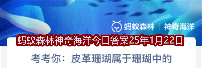 皮革珊瑚属于珊瑚中的