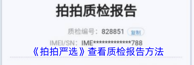 《拍拍严选》查看质检报告方法