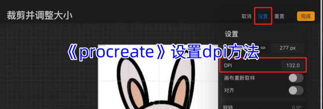 《procreate》设置dpi方法