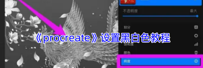 《procreate》设置黑白色教程