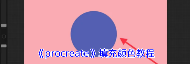 《procreate》填充颜色教程