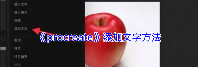 《procreate》添加文字方法